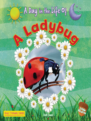 cover image of A Ladybug